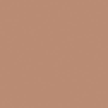 Arctic Frog - Rustic Rose 12x12 cardstock (pack of 10)